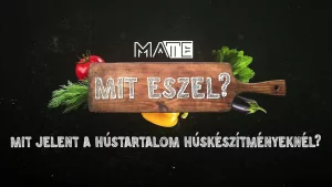 mit jelent a hústartalom a húskészítményeknél