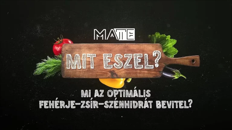 mi az optimális fehérje zsír szénhidrát bevitel