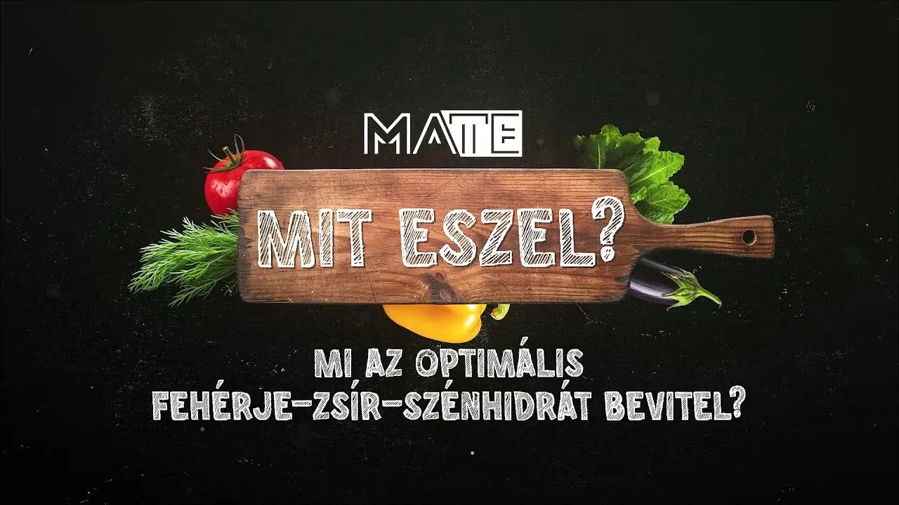 Mi az optimális fehérje-zsír-szénhidrát bevitel?