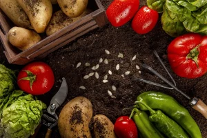 növekedési pályán az ökológiai gazdálkodás, már stabilan 300 ezer hektár fölött az ökoterület nagysága