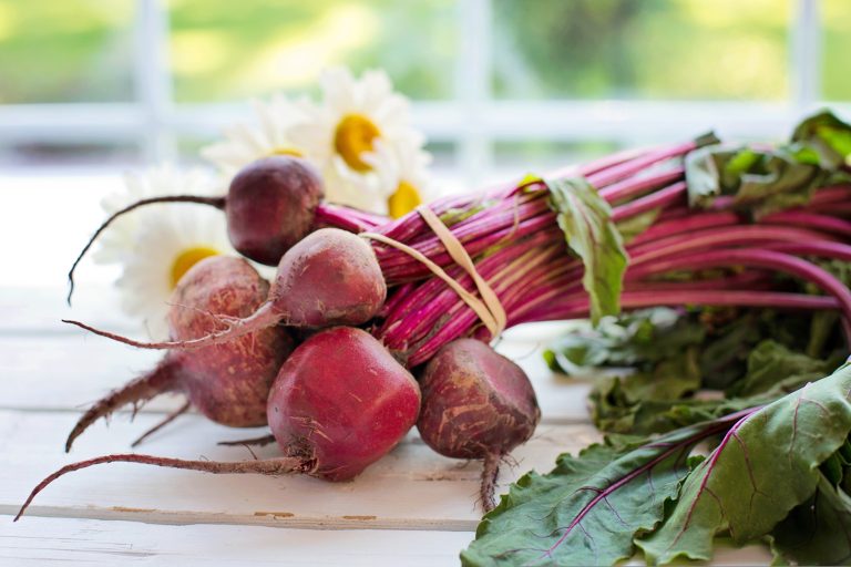 jillwellington vegetable 2485059